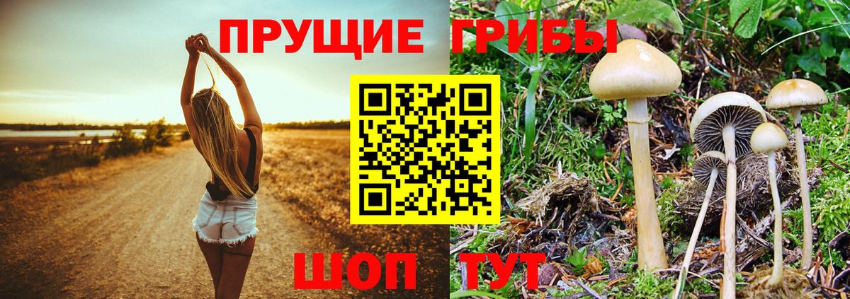 Рыбинск  Галлюциногенные грибы Magic Shrooms  Вход с VPN 